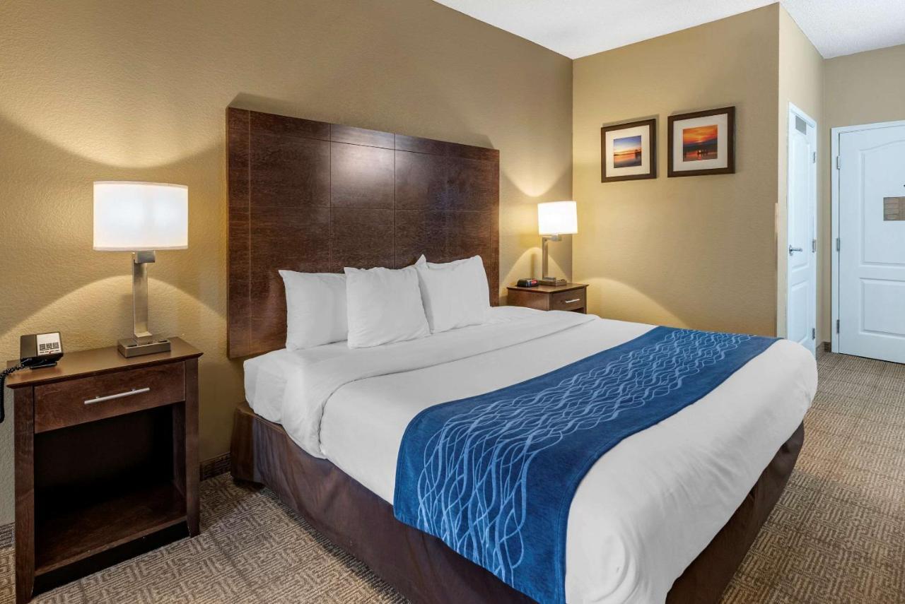 Comfort Inn & Suites Bryant - Benton Esterno foto